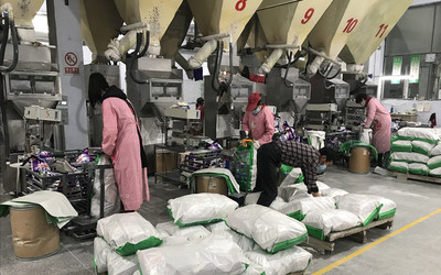 德州武城:金融“春風”送來企業復工“及時雨”